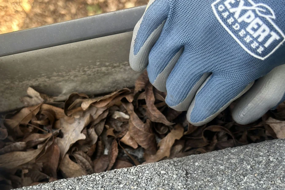 Gutter Cleaning Reidsville